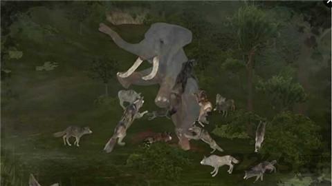 野生动物online内购破解版(wildanimalsonline)下载,野生动物online,模拟手游,生存手游,沙盒手游